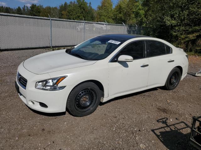 1N4AA5AP1EC499090 - 2014 NISSAN MAXIMA S WHITE photo 1