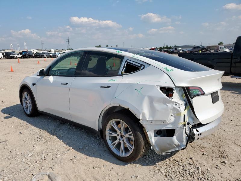 5YJYGDEE0MF208798 - 2021 TESLA MODEL Y WHITE photo 2