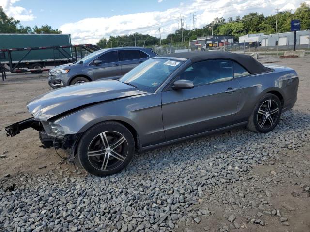 2013 FORD MUSTANG, 