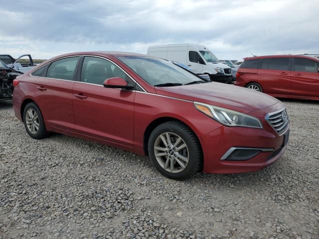 5NPE24AF0GH279361 - 2016 HYUNDAI SONATA SE 栗色 照片 4