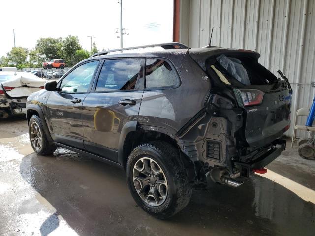 1C4PJMBX5LD506580 - 2020 JEEP CHEROKEE TRAILHAWK GRAY photo 2