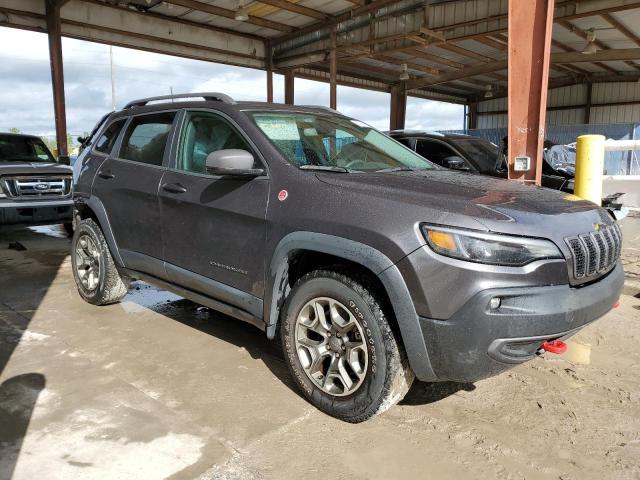 1C4PJMBX5LD506580 - 2020 JEEP CHEROKEE TRAILHAWK Boz foto 4