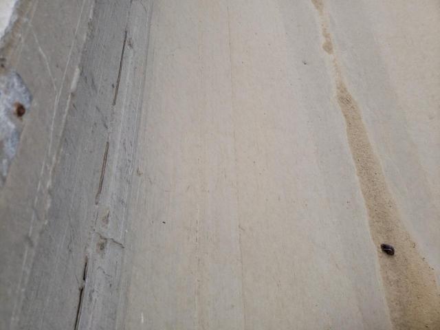 1E9EB39274L185982 - 2004 ALUMA TRAILER SILVER photo 5