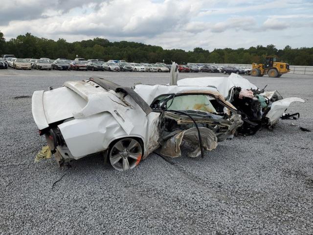 2C3CDZAG6KH750491 - 2019 DODGE CHALLENGER SXT WHITE photo 3