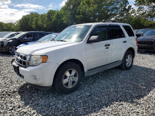 2010 FORD ESCAPE XLT, 