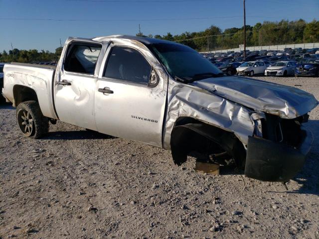 3GCPKPE79DG207429 - 2013 CHEVROLET silverado K1500 SILVER photo 4