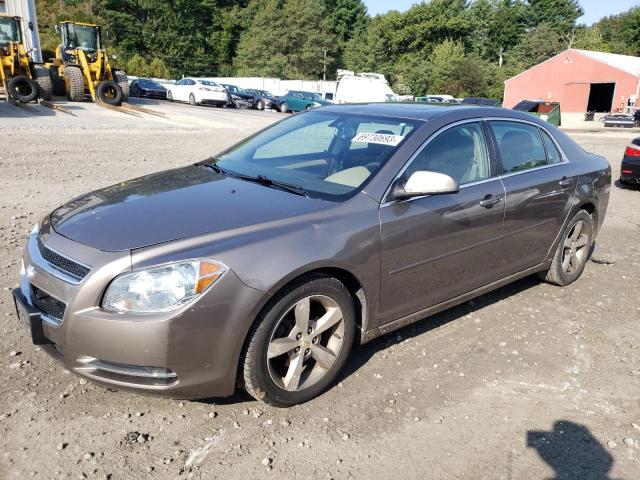1G1ZC5E1XBF141860 - 2011 CHEVROLET MALIBU 1LT 棕色 照片 1