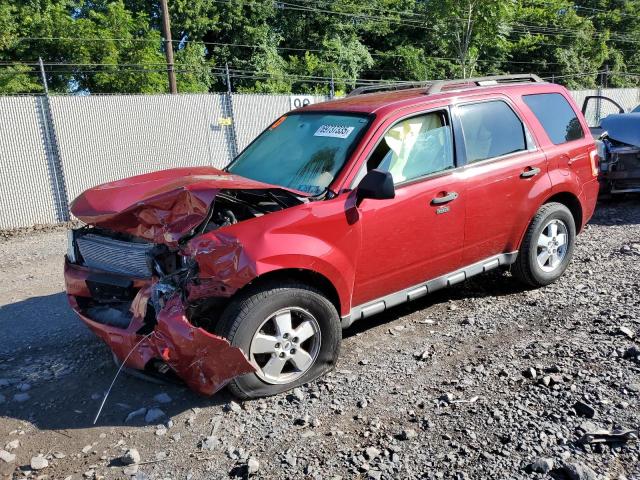 2010 FORD ESCAPE XLT, 