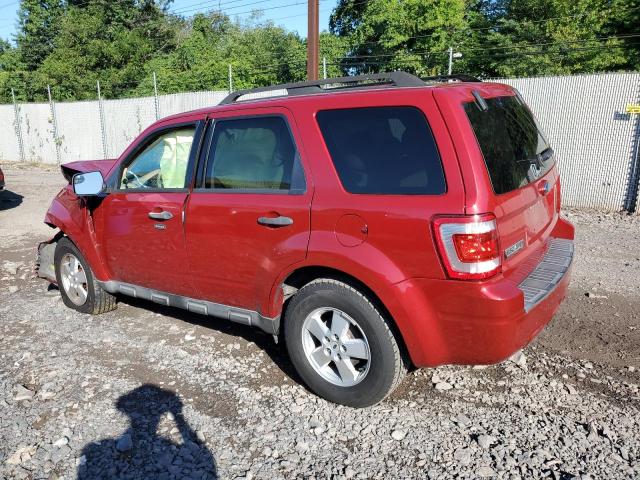 1FMCU0D70AKB11903 - 2010 FORD ESCAPE XLT წითელი ფოტო 2