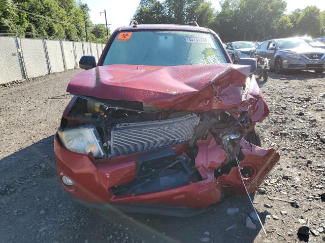 1FMCU0D70AKB11903 - 2010 FORD ESCAPE XLT წითელი ფოტო 5