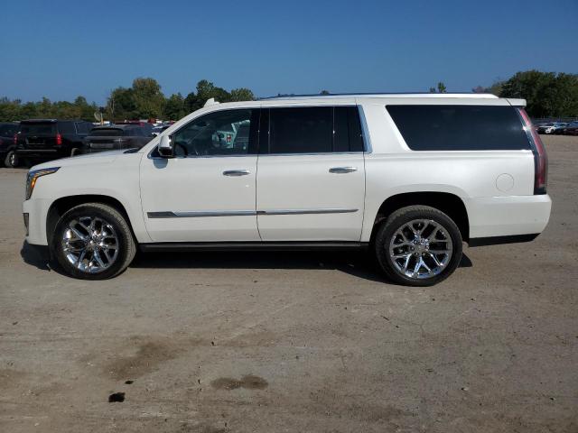 1GYS4JKJXJR163772 - 2018 CADILLAC ESCALADE ESV PREMIUM LUXURY WHITE photo 13