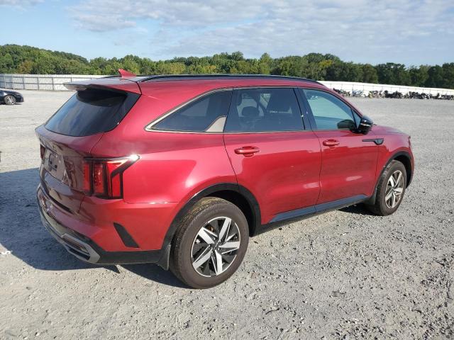 5XYRH4LF3PG230191 - 2023 KIA SORENTO EX RED photo 3