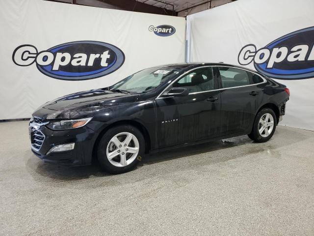 2023 CHEVROLET MALIBU LT, 