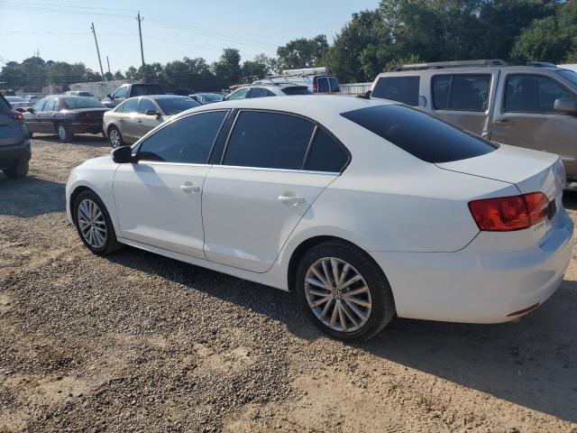 3VWLP7AJ2DM256763 - 2013 VOLKSWAGEN JETTA SEL Ağ foto 2