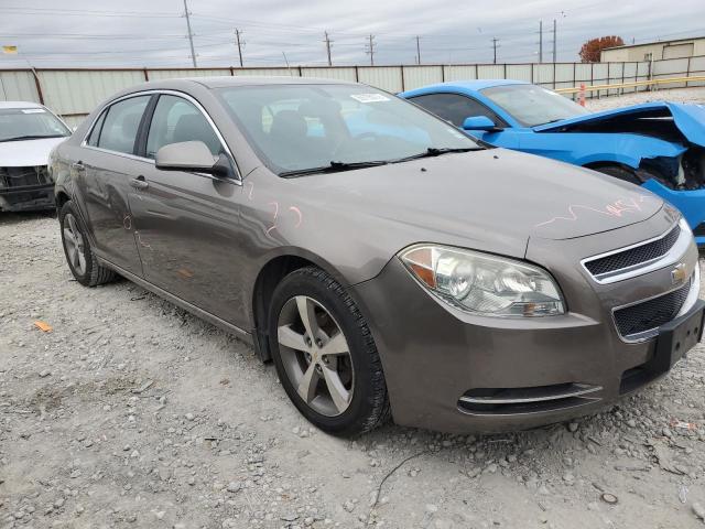 1G1ZC5E16BF299757 - 2011 CHEVROLET MALIBU 1LT BROWN photo 4