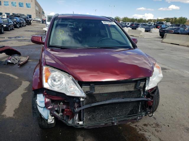 JHLRE4H72AC012557 - 2010 HONDA CR-V EXL BURGUNDY photo 5