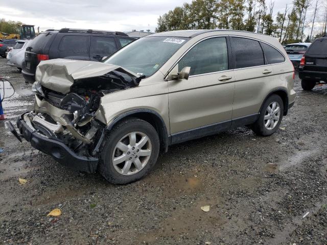 JHLRE48738C074558 - 2008 HONDA CR-V EXL GOLD photo 1