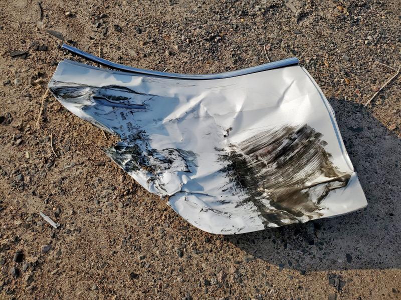 5YJ3E1EB5LF783160 - 2020 TESLA MODEL 3 Ağ foto 13