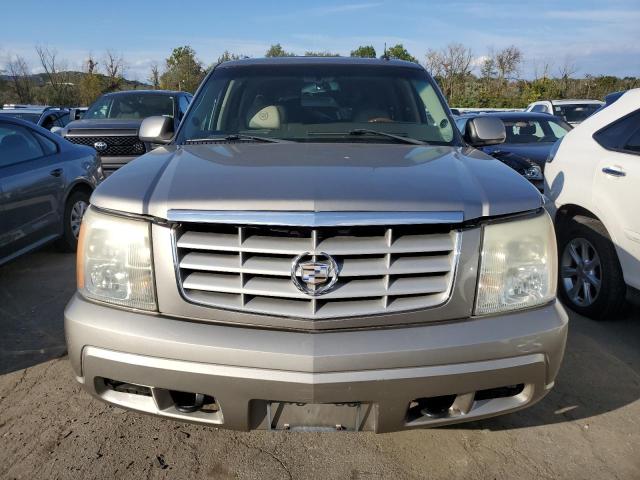 1GYEK63N03R262878 - 2003 CADILLAC ESCALADE LUXURY TAN photo 5