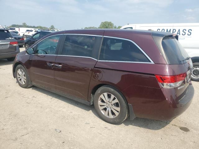 5FNRL5H6XEB013268 - 2014 HONDA ODYSSEY EXL 栗色 照片 2