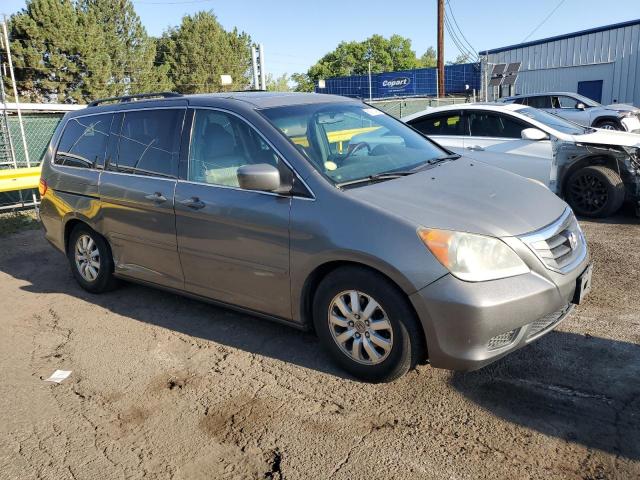 5FNRL3H65AB044507 - 2010 HONDA ODYSSEY EXL Մոխրագույն լուսանկար 4