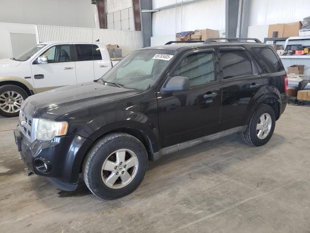 2009 FORD ESCAPE XLT, 