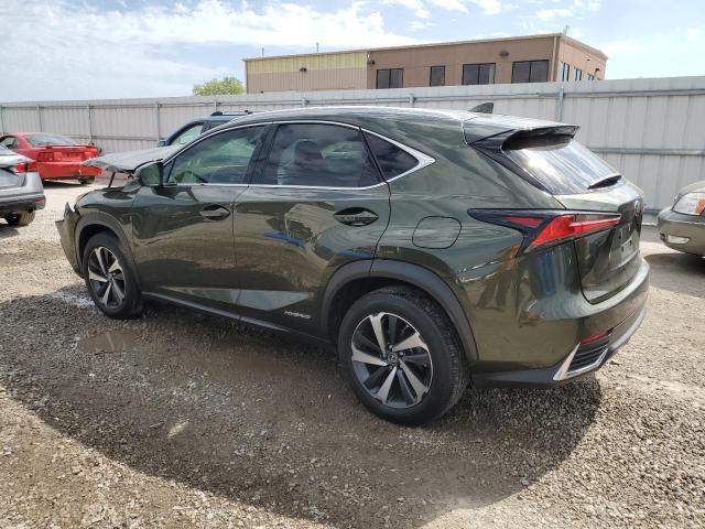 JTJGJRDZ8M2150972 - 2021 LEXUS NX 300H BASE GREEN photo 2