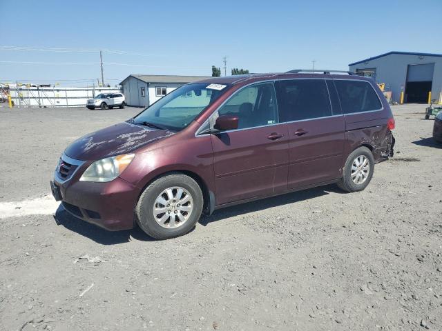 2010 HONDA ODYSSEY EXL, 