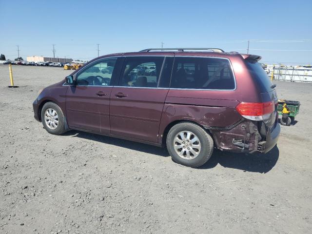 5FNRL3H61AB060624 - 2010 HONDA ODYSSEY EXL MAROON photo 2