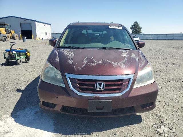 5FNRL3H61AB060624 - 2010 HONDA ODYSSEY EXL MAROON photo 5