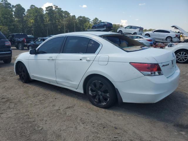 JHMCP26848C022710 - 2008 HONDA ACCORD EXL WHITE photo 2