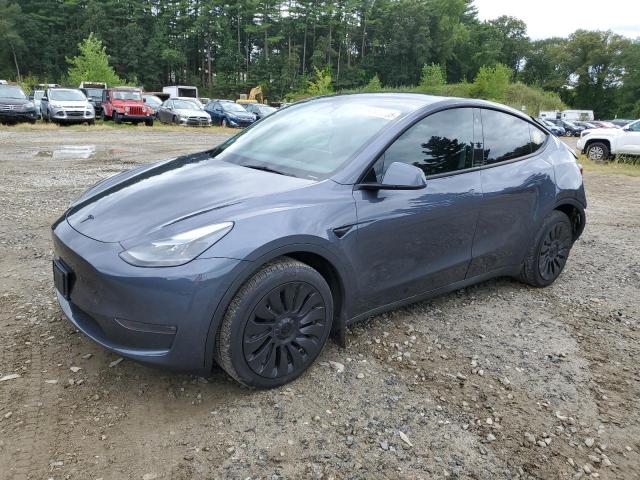 2023 TESLA MODEL Y, 