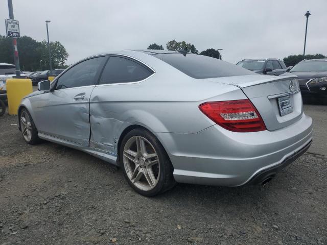 WDDGJ4HB4DG065638 - 2013 MERCEDES-BENZ C 250 SILVER photo 2