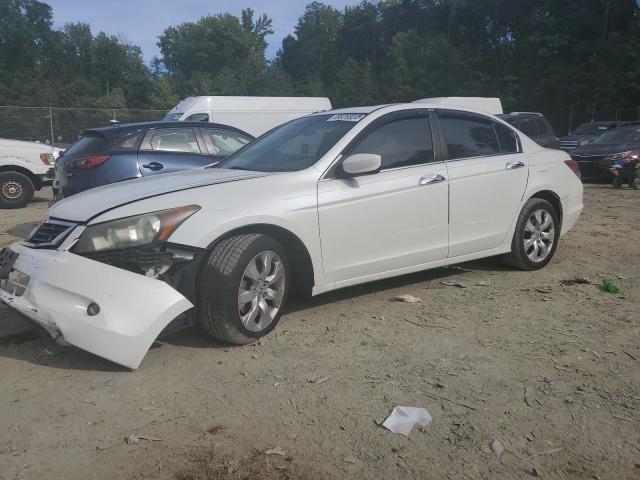 2008 HONDA ACCORD EXL, 