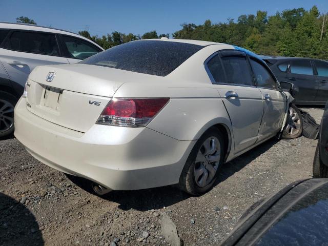 1HGCP36858A025636 - 2008 HONDA ACCORD EXL WHITE photo 3