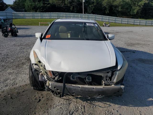 1HGCP26868A074368 - 2008 HONDA ACCORD EXL WHITE photo 5