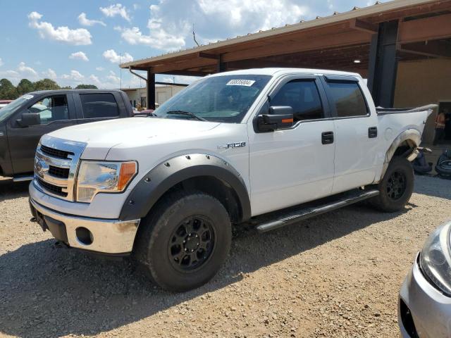 1FTFW1EF2DKD02282 - 2013 FORD F150 SUPERCREW WHITE photo 1