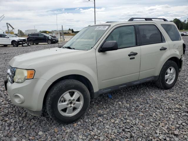 2009 FORD ESCAPE XLT, 