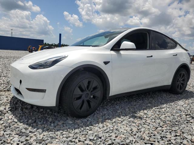 2025 TESLA MODEL Y, 