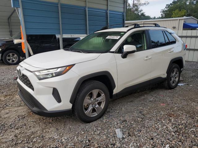 2025 TOYOTA RAV4 XLE, 