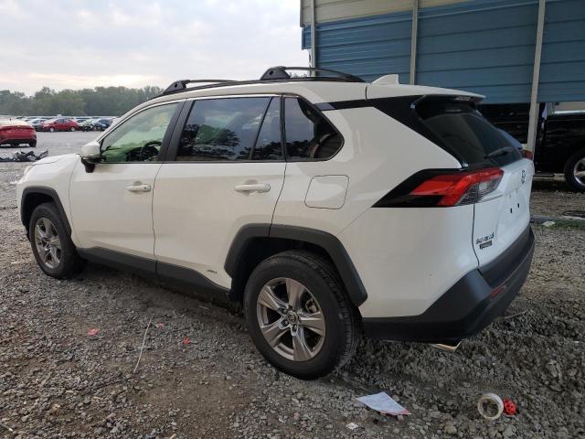 JTMRWRFV7SD297356 - 2025 TOYOTA RAV4 XLE 白色 照片 2