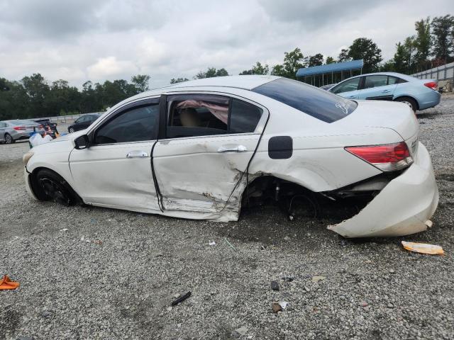 5KBCP3F84AB013815 - 2010 HONDA ACCORD EXL WHITE photo 2
