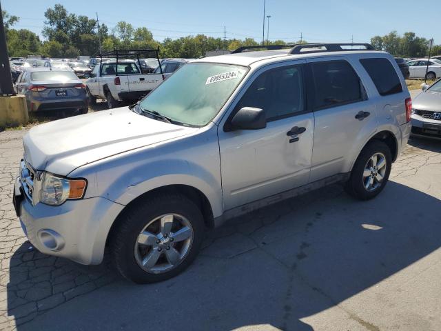 2009 FORD ESCAPE XLT, 