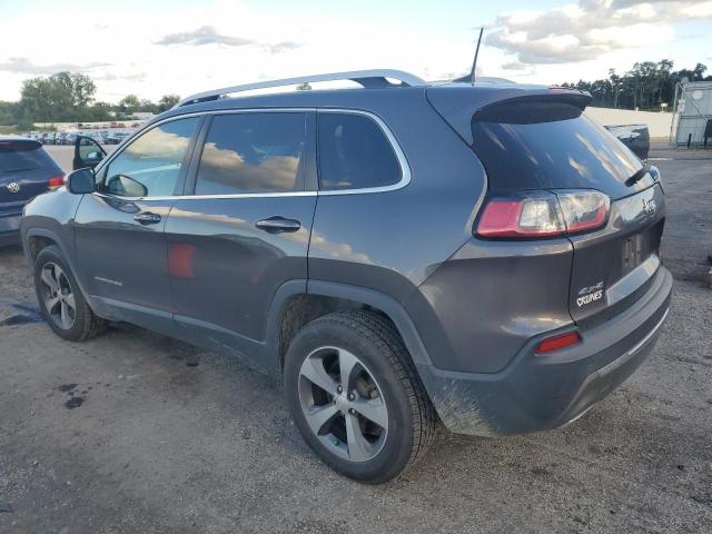 1C4PJMDX3KD304980 - 2019 JEEP CHEROKEE LIMITED GRAY photo 2