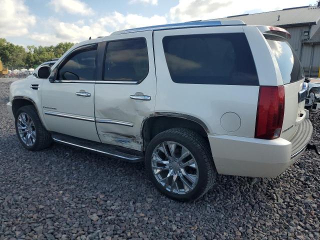 1GYFK63817R167704 - 2007 CADILLAC ESCALADE LUXURY Սպիտակ լուսանկար 2