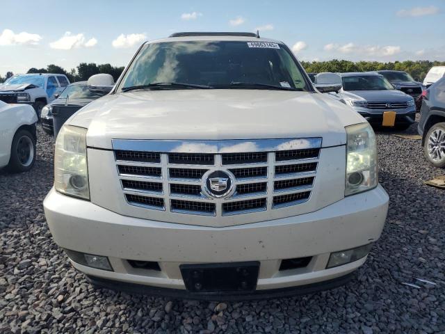 1GYFK63817R167704 - 2007 CADILLAC ESCALADE LUXURY Սպիտակ լուսանկար 5