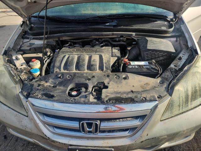 5FNRL38646B419097 - 2006 HONDA ODYSSEY EXL Արծաթագույն լուսանկար 12