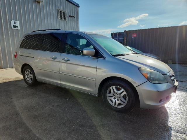5FNRL38646B419097 - 2006 HONDA ODYSSEY EXL Արծաթագույն լուսանկար 4