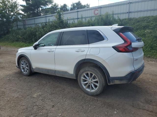 7FARS4H47RE015422 - 2024 HONDA CR-V EX WHITE photo 2