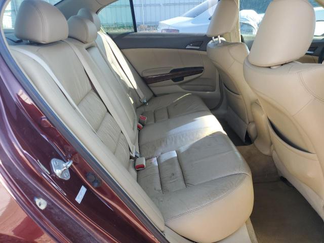 1HGCP36869A013187 - 2009 HONDA ACCORD EXL მუქწითელი ფოტო 10